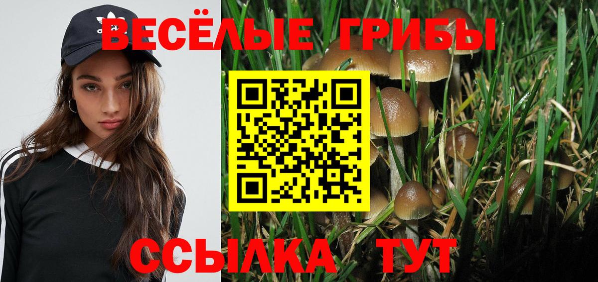 Псилоцибиновые грибы мухоморы  Вход с VPN  Тайшет  Галлюциногенные грибы мухоморы 