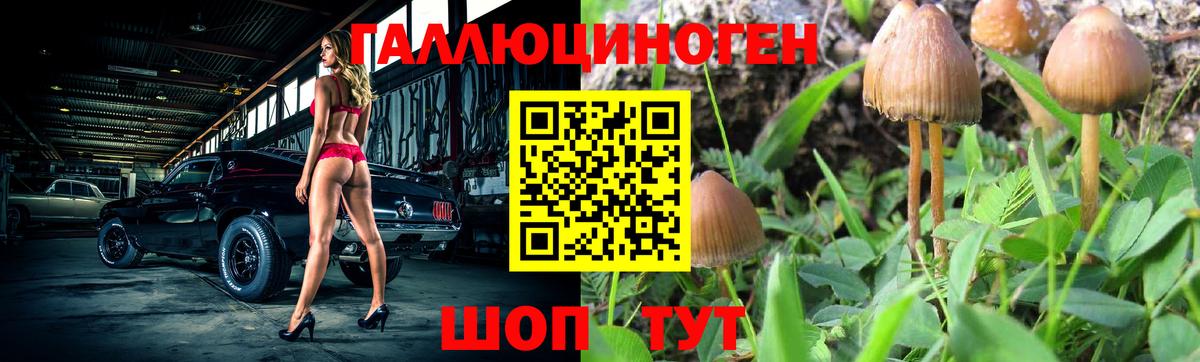 Псилоцибиновые грибы ЛСД Тайшет